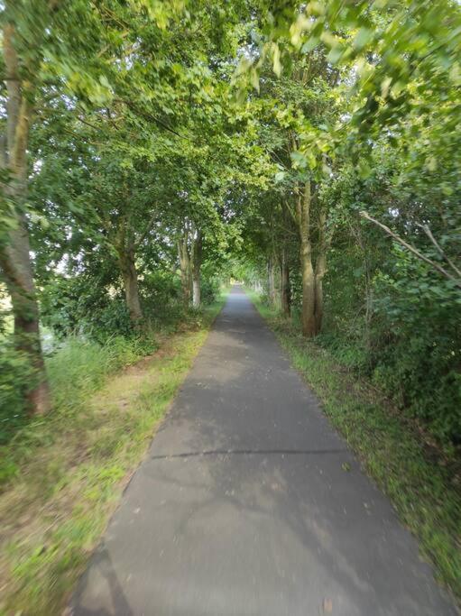 Storchennest - Ferienwohnung Am Storchenradweg Ketzur Luaran gambar