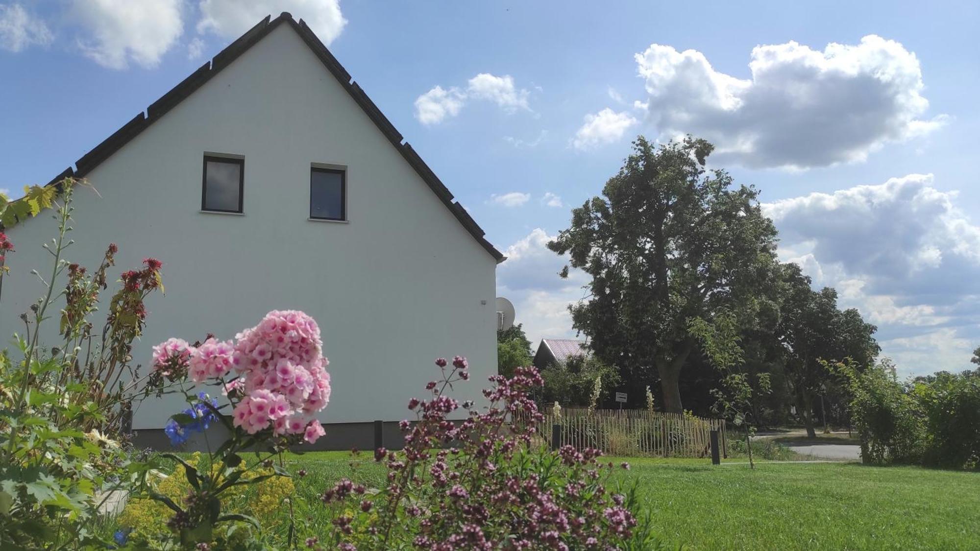 Storchennest - Ferienwohnung Am Storchenradweg Ketzur Luaran gambar