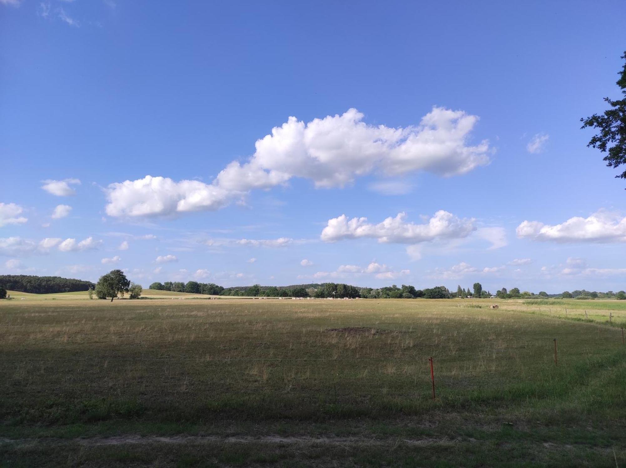 Storchennest - Ferienwohnung Am Storchenradweg Ketzur Luaran gambar
