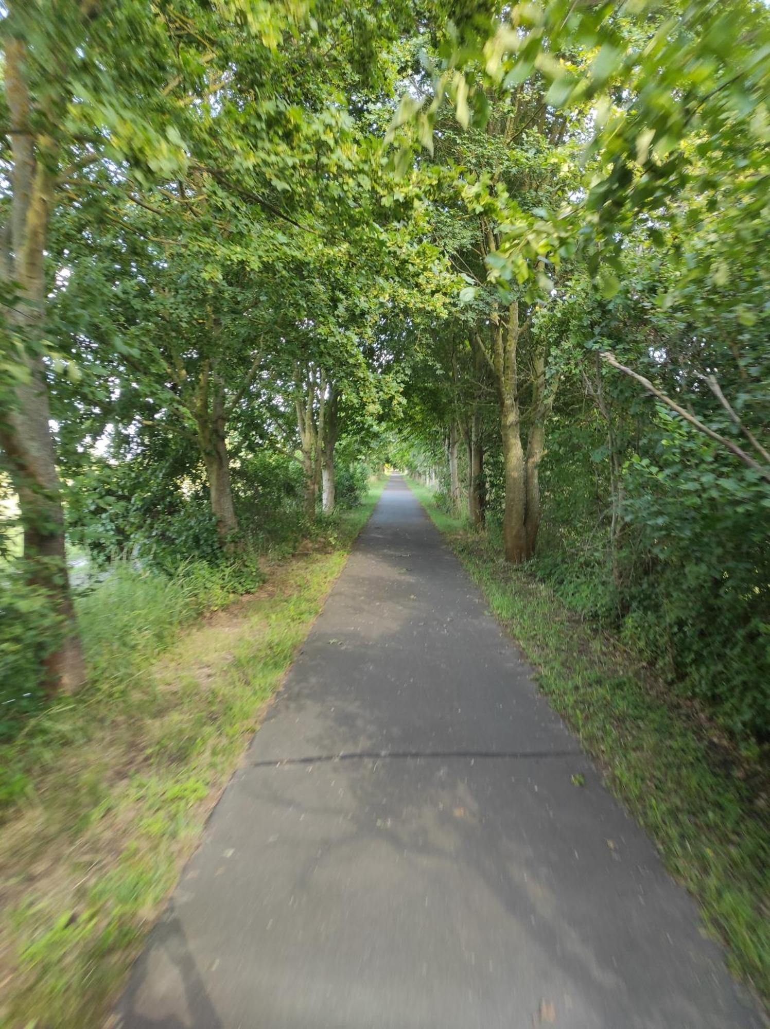 Storchennest - Ferienwohnung Am Storchenradweg Ketzur Luaran gambar